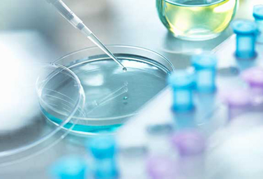 立式螺（luó）帶混合機的（de）應用